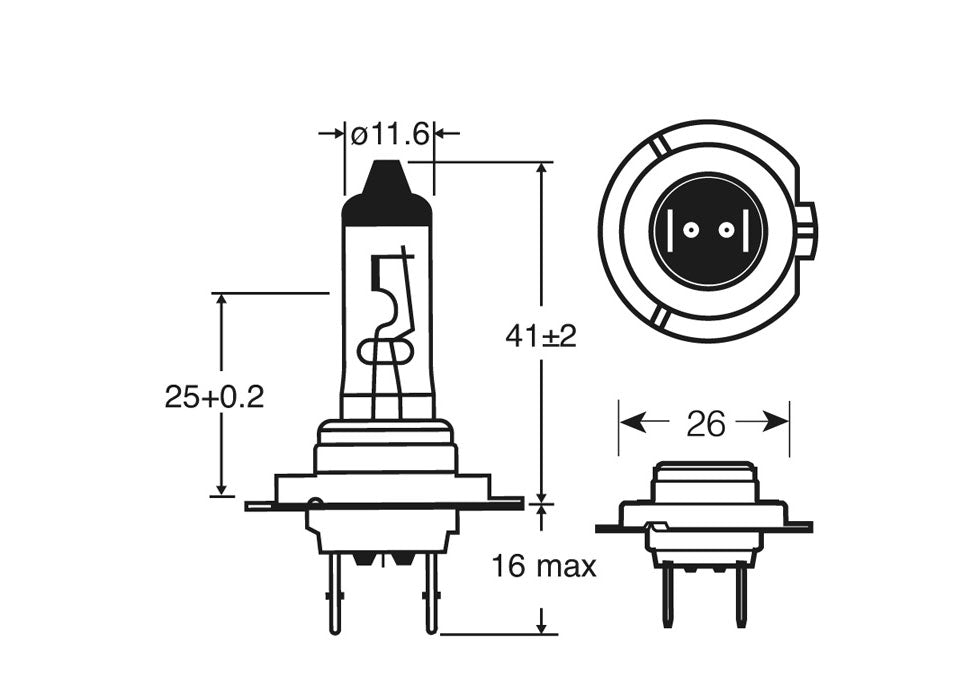 RING H7 XENON200