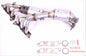 PT6119T-Catalyst-Type Approved for Mini Cooper S R61 Paceman ALL4 1.6 Petrol 16V 2012-2016 HP 184 Coupe EURO 5;6   620mm