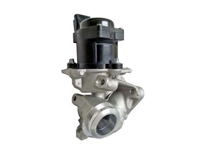 ROLLCO EGR - VSEG110 for CITROËN C3 Picasso 1.6 from 2009 onwards