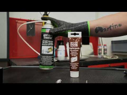 LIQUI MOLY DPF/GPF CLEANER