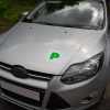 SAKURA “P” PLATES WITH MAGNETIC STRIP