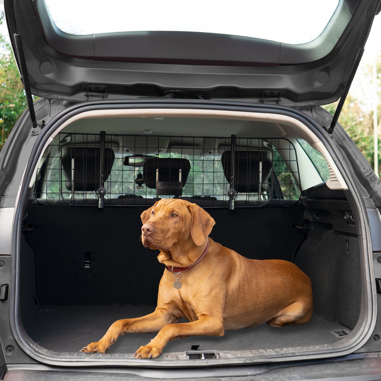 SAKURA HEADREST MESH DOG GUARD